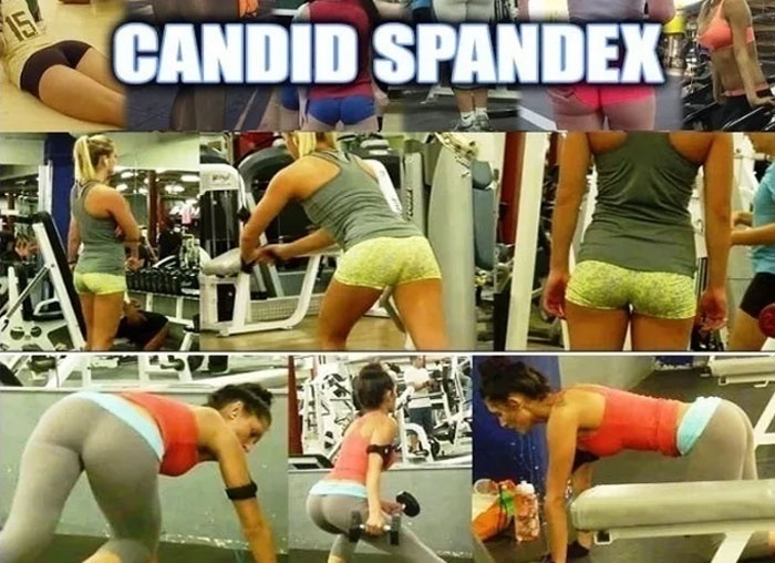 CandidSpandex.com – SITERIP